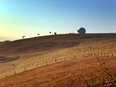 Gleitschirmfliegen Wasserkuppe