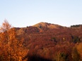 Pferdskopf als Auslufer der Wasserkuppe