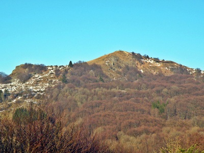 Pferdskopf im Winter mit Schnee